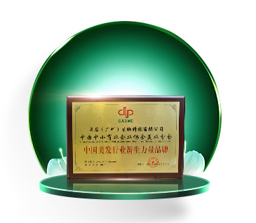 中国美发行业新生力量品牌